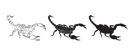 Vector of scorpions isolated on whiteのイラスト素材