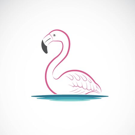 Vector of flamingo design on white background. Wild Animals. Birds. Easy editable layered vector illustration.のイラスト素材