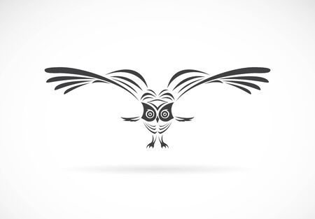 Vector of an owl design on a whiteのイラスト素材