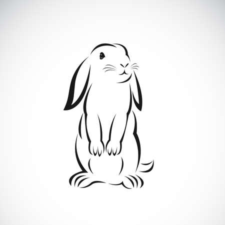 Vector of rabbit design on white background. Easy editable layered vector illustration. Wild animals.のイラスト素材