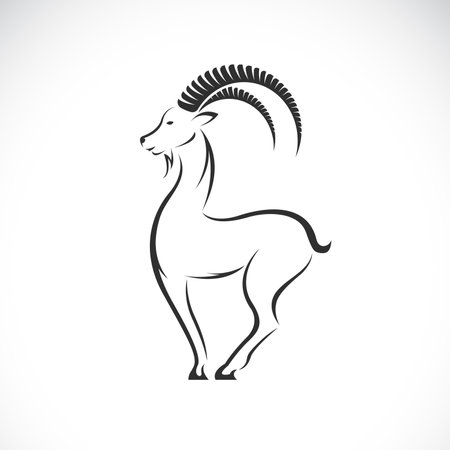 Vector of goat design on white background. Easy editable layered vector illustration. Wild animals.のイラスト素材