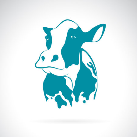 Vector of a cow design on white background. Farm Animals.のイラスト素材