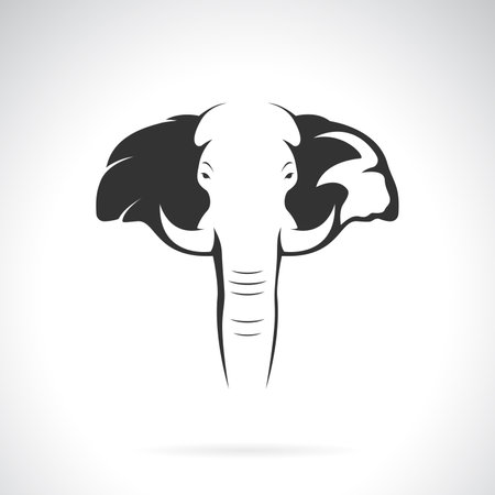 Vector of an elephant head design on white background. Wild Animals.のイラスト素材