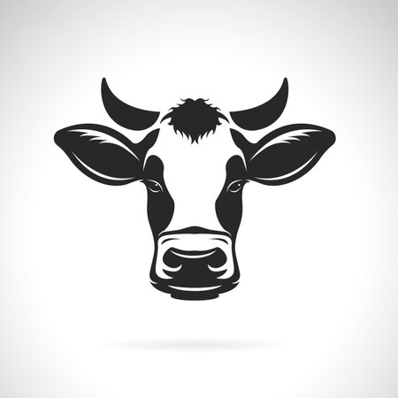 Vector of cow head design on white background. Easy editable layered vector illustration. Farm Animals.のイラスト素材
