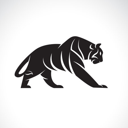 Vector of a tiger design on black background. Wild Animals.のイラスト素材