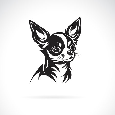 Vector of a chihuahua dog design on black background. Pet. Animals.のイラスト素材