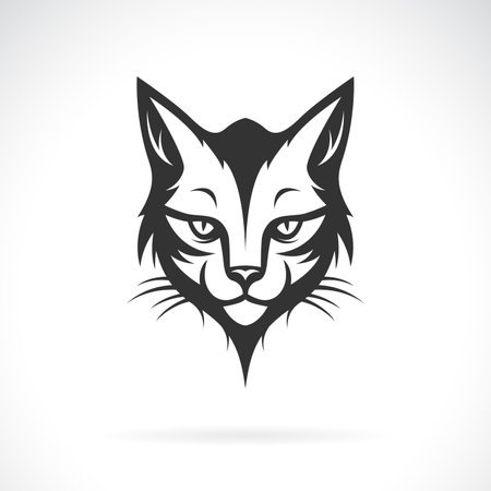 Vector of a cat head design on black background. Pet. Animals.のイラスト素材