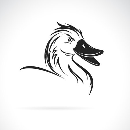 Vector of a duck head design on white background. Easy editable layered vector illustration. Birds. Wild Animals.のイラスト素材