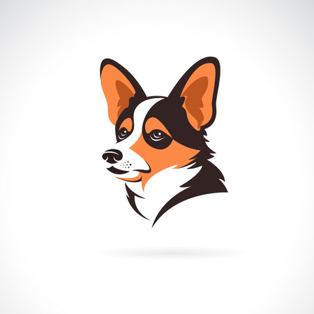 Vector of a pembroke welsh corgi dog head design on white background. Easy editable layered vector illustration. Pets. Animals.のイラスト素材