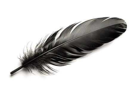 Image of black feather on white background. Illustration, Generative AI.の素材