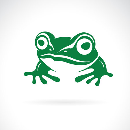 Vector of frog design on a white background. Amphibian. Animals. Easy editable layered vector illustration.のイラスト素材