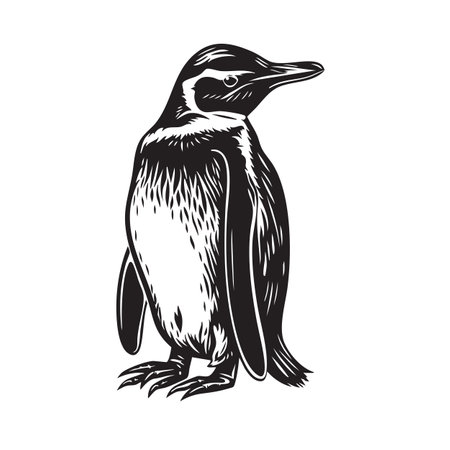 Elegant penguin vector illustration. Standing pose, sleek design, classic black and white. Ideal for wildlife, nature, or winter themes. Wildlife Animals.のイラスト素材