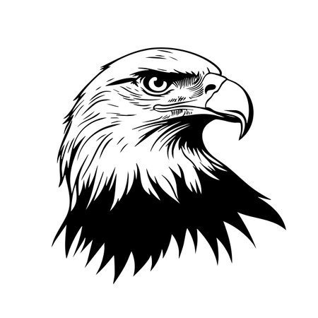 Striking monochrome vector illustration of a bald eagle head in profile view, featuring detailed feathers and piercing eye. Perfect for logos and patriotic designs, Bird, Wildlife Animals.のイラスト素材