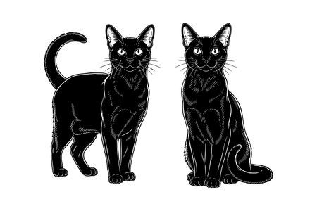 Vector of en elegant outline illustration of two Bombay cats, one standing and one sitting, highlighting their sleek black coats. Pet.のイラスト素材