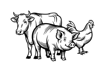 Hand-drawn vector illustration of farm animals: cow, pig, and chicken, perfect for agriculture and food designs.のイラスト素材