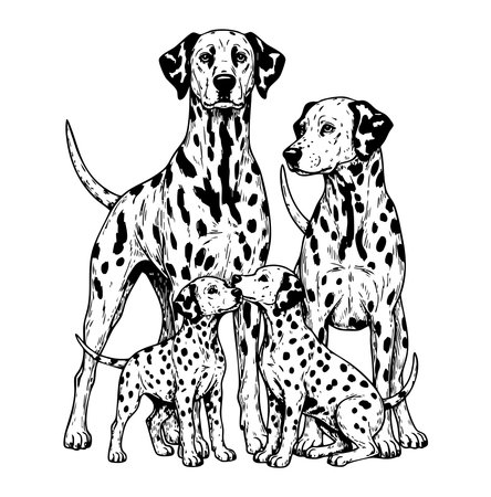 Adorable vector illustration of a Dalmatian family, featuring adults and puppies with their characteristic spotted coats. Dogs, Pet.のイラスト素材