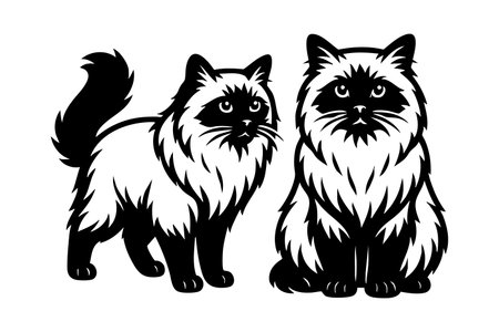 Elegant vector illustration of Birman cats, ideal for pet and graceful feline themes. Pet.のイラスト素材