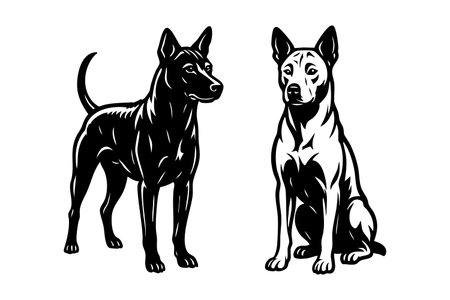 Sleek Thai Ridgeback dog vector, great for pet and unique breed designs.のイラスト素材