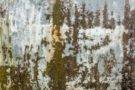 old dirty white gray wall with cracks and green moss. dirt spots on a flat wall surface. rough...