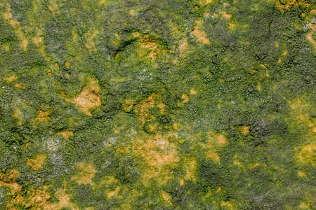 yellow sand wall with damage and green moss with mold. rough natural surface texture