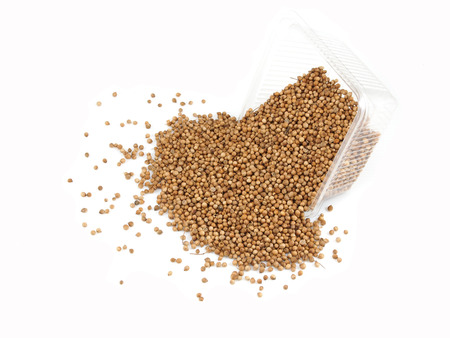 Coriander seeds on white background の写真素材