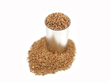 Coriander seeds in can on white background の写真素材