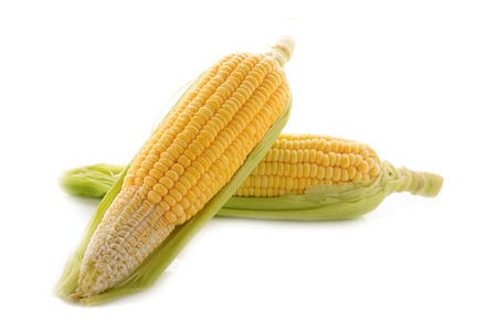 yellow corn with leal on white background