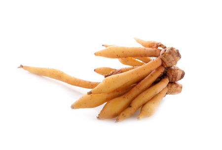 rhizome, finger root on white backgroundの写真素材
