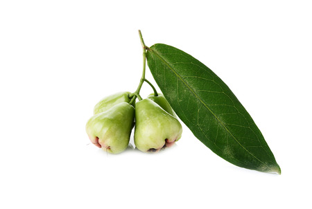 green rose apple with leaf isolated on white backgroundの写真素材