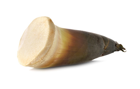 fresh whole bamboo shoots on white backgroundの写真素材