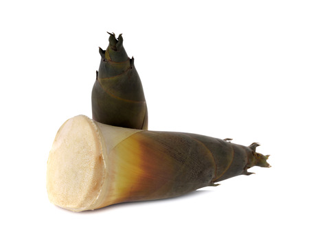 fresh whole bamboo shoots on white backgroundの写真素材