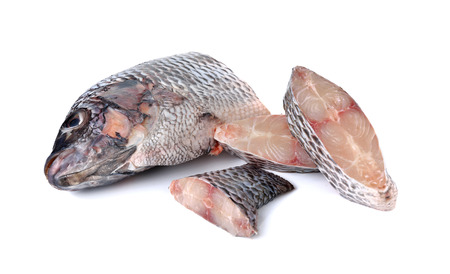 portion of fresh Tilapia fish on white backgroundの写真素材