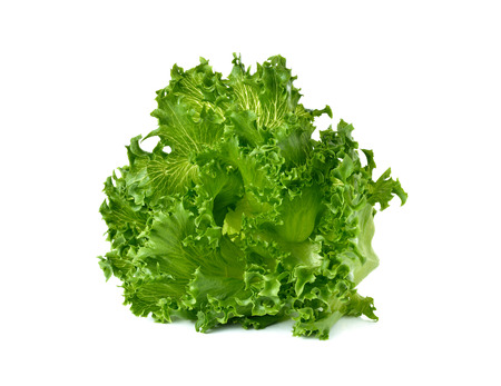 Green frillies iceberg lettuce isolated on white backgroundの写真素材