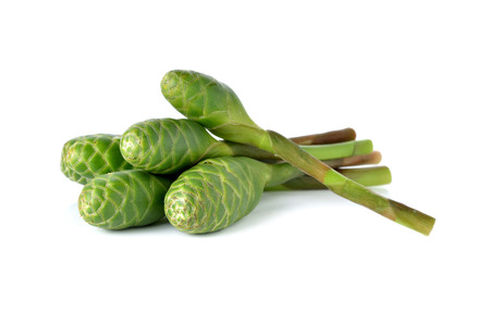 stack of ginger blossom on white backgroundの写真素材