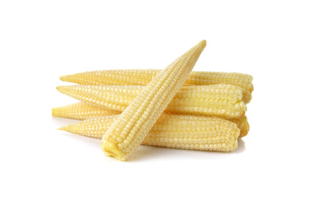 baby corn isolated on white backgroundの写真素材