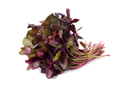 fresh Red spinach or red amaranth on white backgroundの写真素材