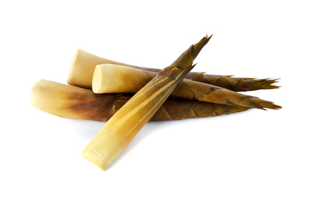 boiled young bamboo shoot on white backgroundの写真素材