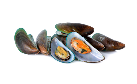 boiled green mussels with shell on white background
