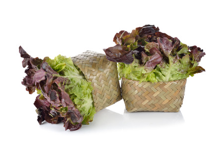 lettuce or red oak-leaf in bamboo basket on white backgroundの写真素材