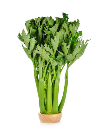 fresh celery on white backgroundの写真素材