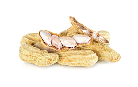boiled peanut on white background