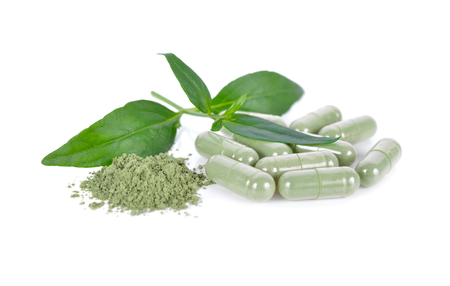fresh kariyat leaves, ground and capsule herb on white backgroundの写真素材