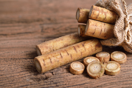 fresh burdock root or Gobo in sack and on wooden backgroundの写真素材
