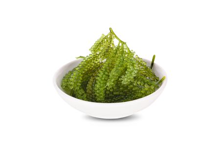 fresh sea grapes, green cavia, Umi-budou seaweed in white small bowl on white backgroundの写真素材