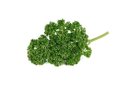 fresh parsley with stem on white backgroundの写真素材