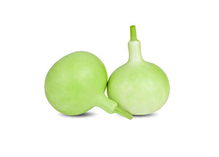 whole fresh green calabash gourd on white backgroundの写真素材