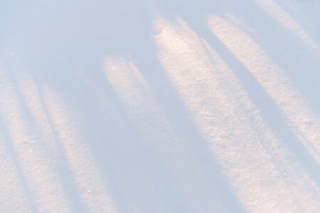 Realistic snow background. Shadows from the trees in the fresh snow. Winter in the forestの写真素材