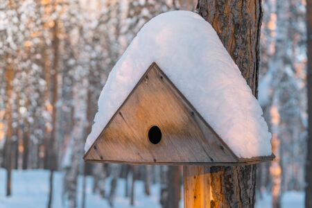 Birdhouse covered with snow on a pine tree. Shelter for birds. Sunny day in the forest. Winter...