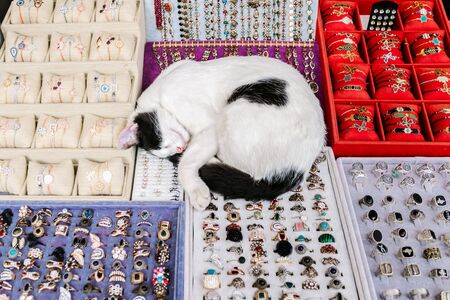 A cat sleeps curled up on a jewelry counter at a market in Istanbul. Authentic Turkish market.の写真素材