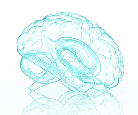 X-ray human brain in blue with clipping path.